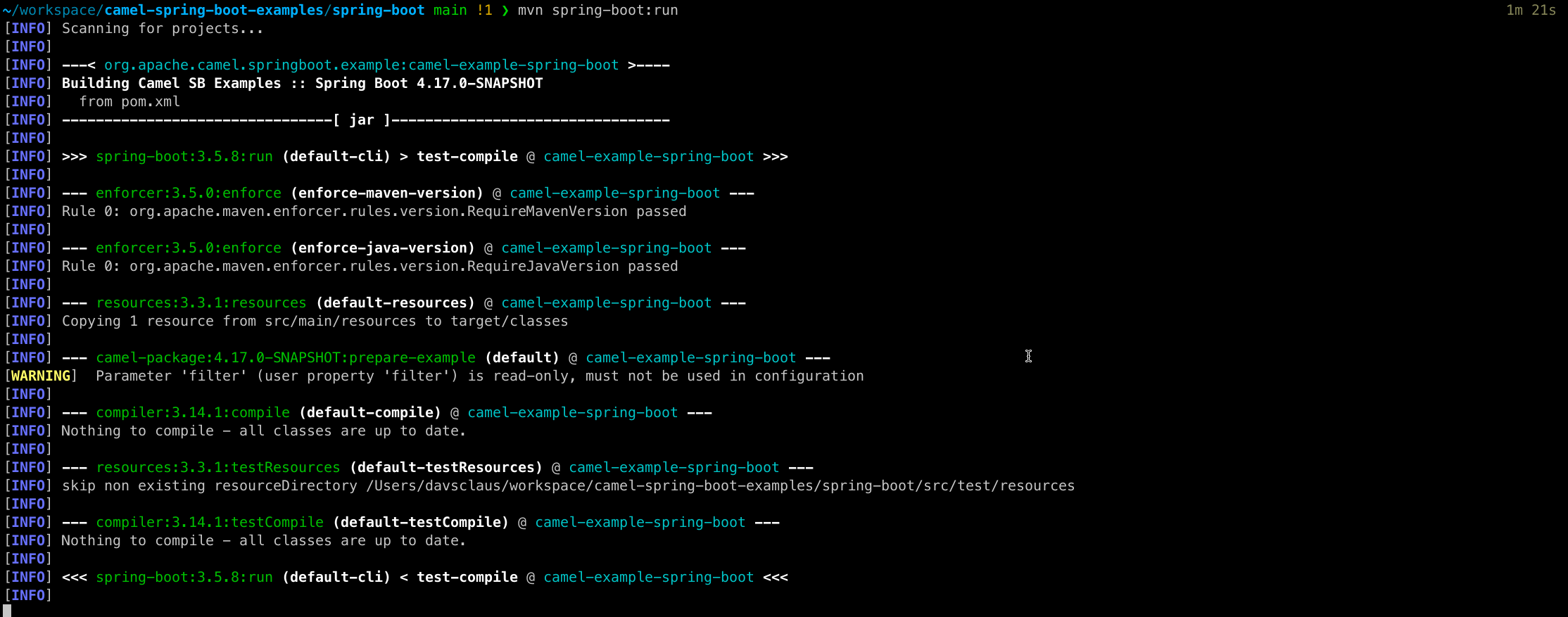 Camel CLI Debug